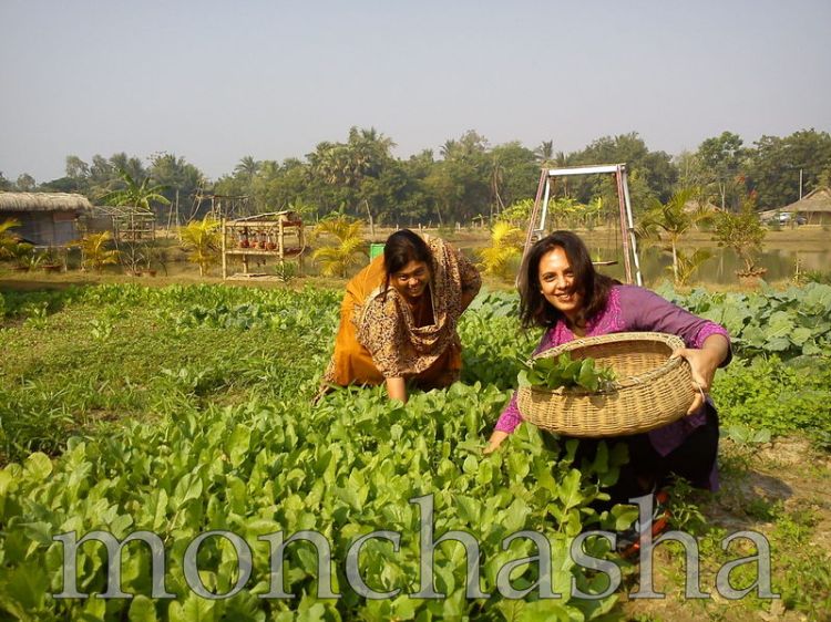 Collection of Ingredients from the field @ "monchasha"