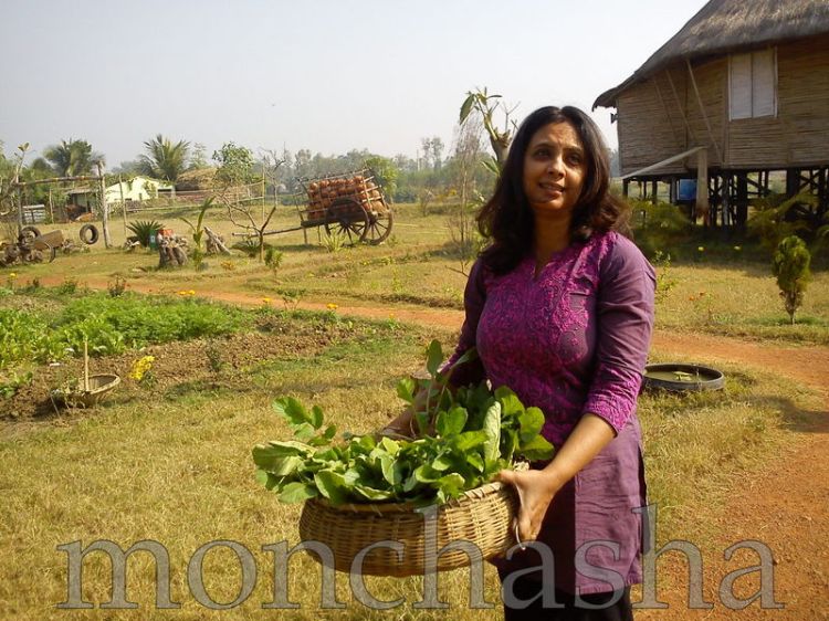 Yes! It's finally done! Garden Fresh Spinach!