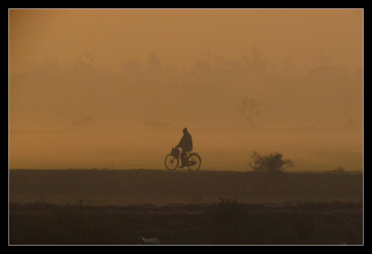 Photograph: Kausik Indu