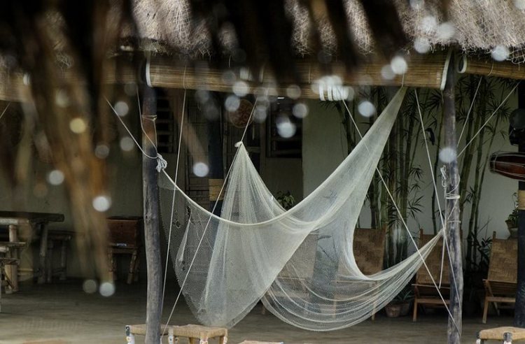 Photograph :: Subhomoy Sinha Roy