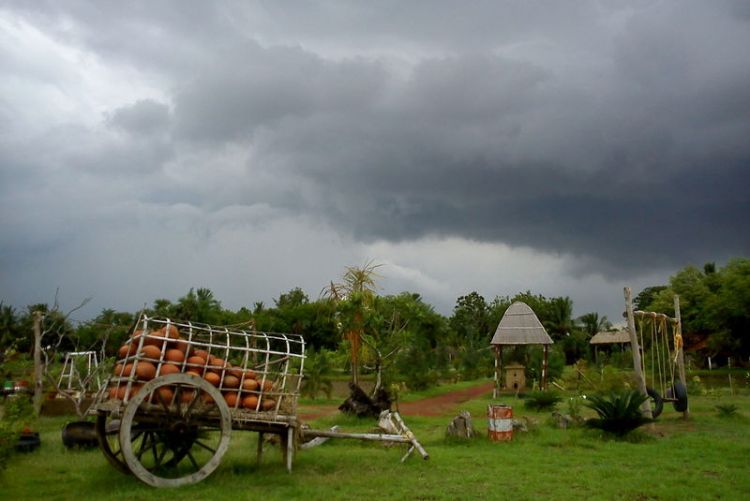 monchasha @ monchasha