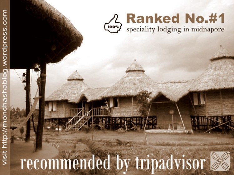 Ranked #1 by tripadvisor