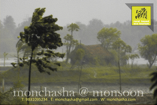 Monsoon @ Monchasha